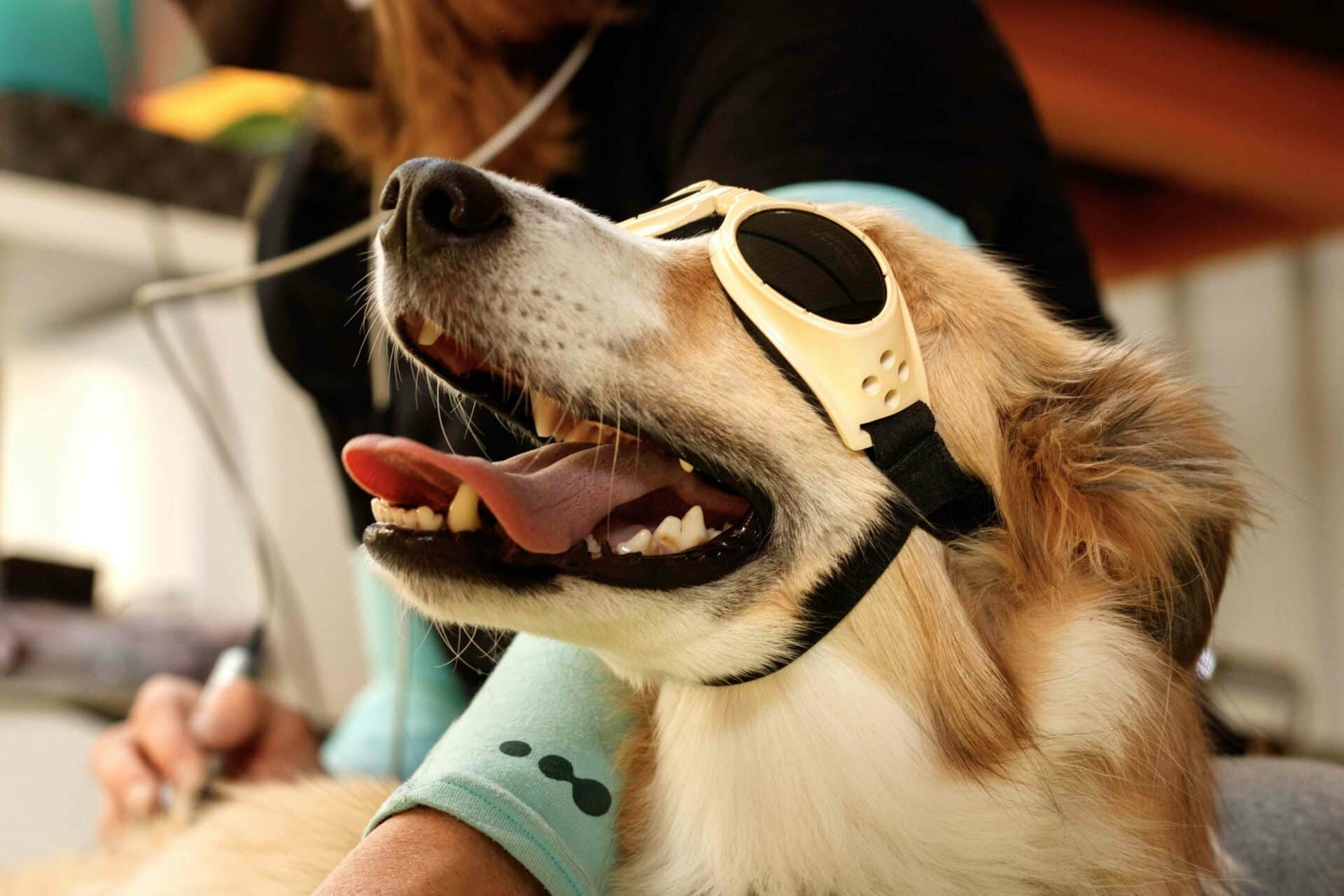 Laser therapy